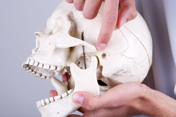 articulación temporomandibular